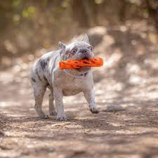 Chuckit Air Fetch Stick - HAPPY ZOO SHOP