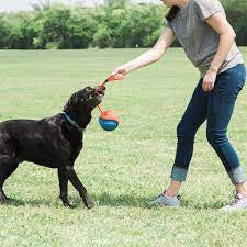 balle chuckit rope fetch - HAPPY ZOO SHOP
