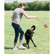 balle chuckit rope fetch - HAPPY ZOO SHOP