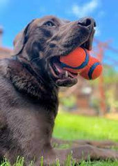 chuckit balle ultra tumbler