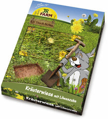 Pré d'herbe & pissenlit