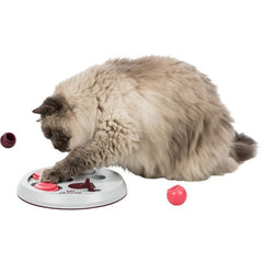 Jeu d'occupation cat activity flip board