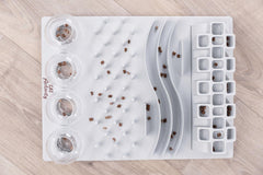 Jeu d'occupation fun board