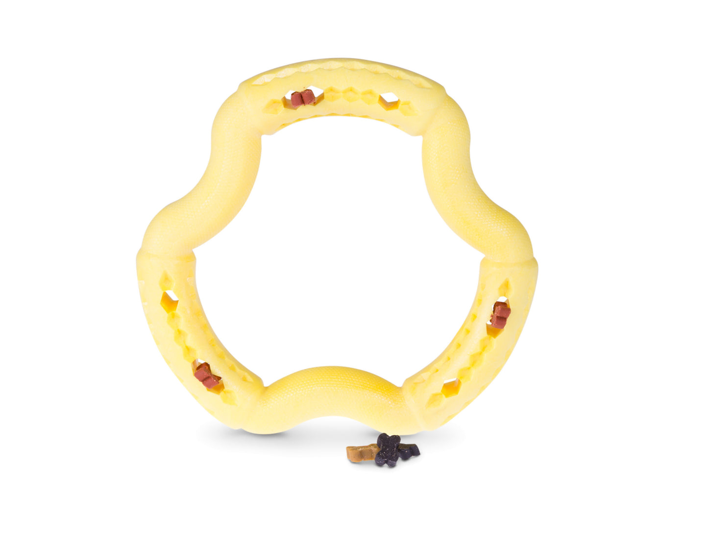 Anneau TPR vanille 21cm - HAPPY ZOO SHOP