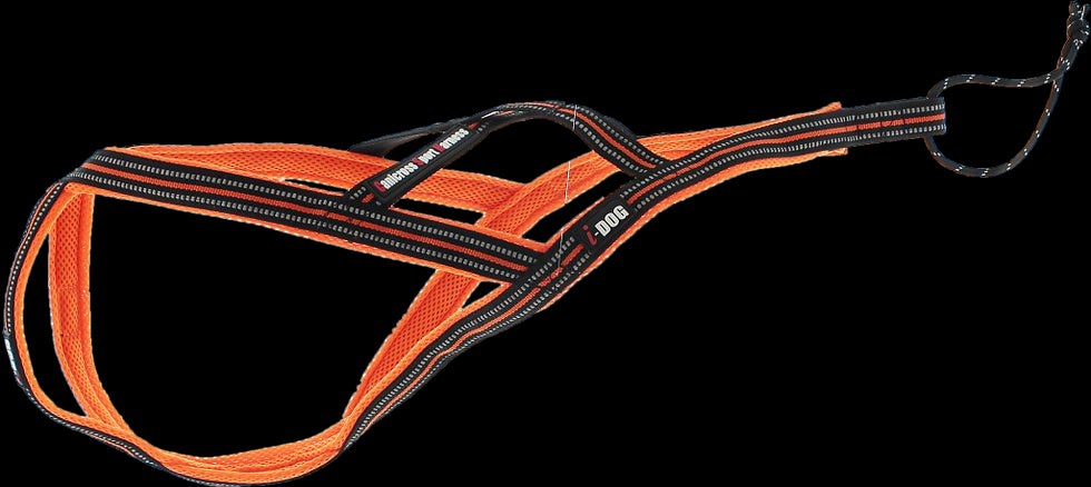 Harnais CaniCROSS X-Back One - HAPPY ZOO SHOP