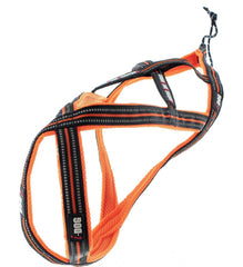 Harnais CaniCROSS X-Back One - HAPPY ZOO SHOP