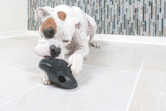 L'étoile - HAPPY ZOO SHOP