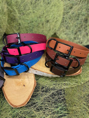 Collier Biothane 25mm - HAPPY ZOO SHOP