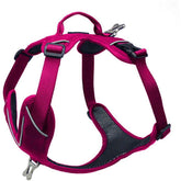 Harnais Kyflie - HAPPY ZOO SHOP