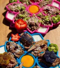 Tapis à lécher mandala - HAPPY ZOO SHOP