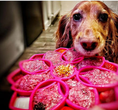 Tapis à lécher mandala - HAPPY ZOO SHOP