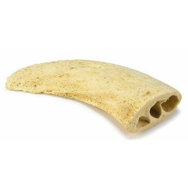 Noyau de corne de buffle - HAPPY ZOO SHOP