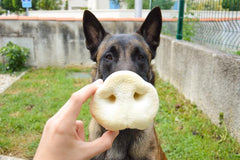 Nez de cochon soufflé - HAPPY ZOO SHOP