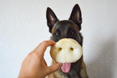 Nez de cochon soufflé - HAPPY ZOO SHOP