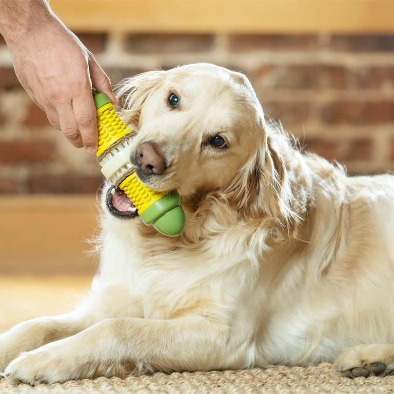 L'épis de maïs - HAPPY ZOO SHOP