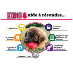 Os renforcé Kong - HAPPY ZOO SHOP