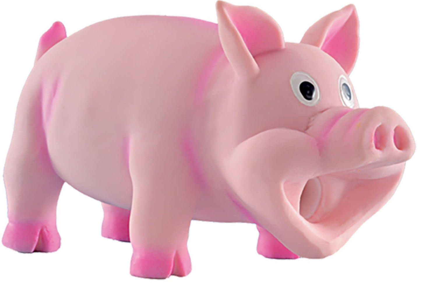 COCHON LATEX