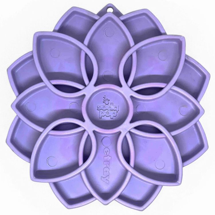 Mandala sodapup ventouses
