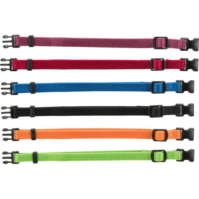 COLLIER JUNIOR