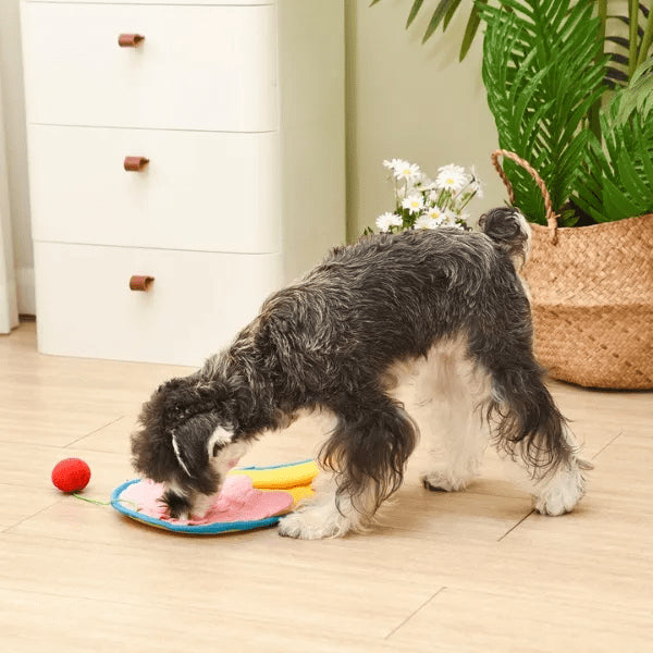 Zippy Paws tapis de fouille