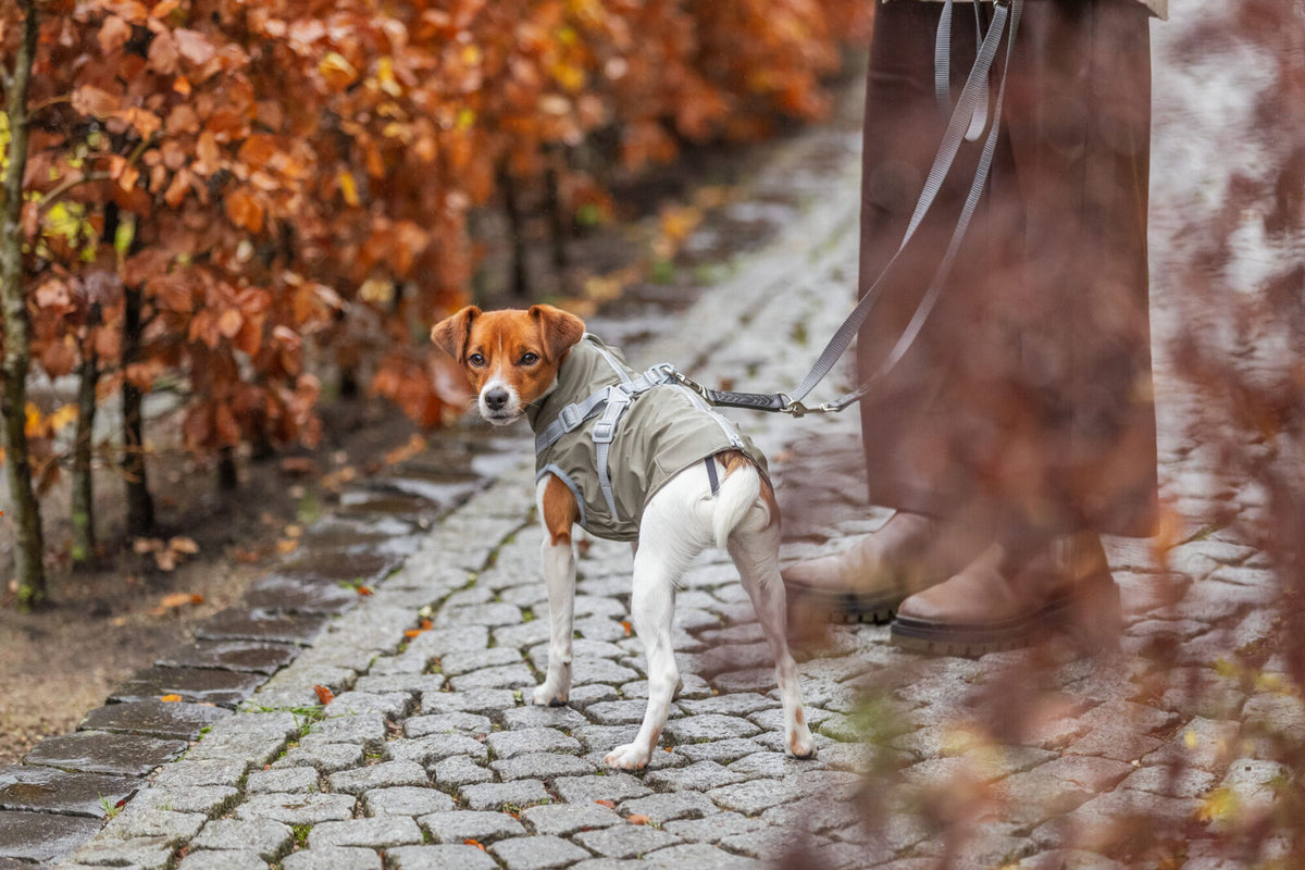 Manteau pontis Rain avec harnais Vert Olive