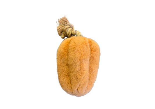 Butternut  automne