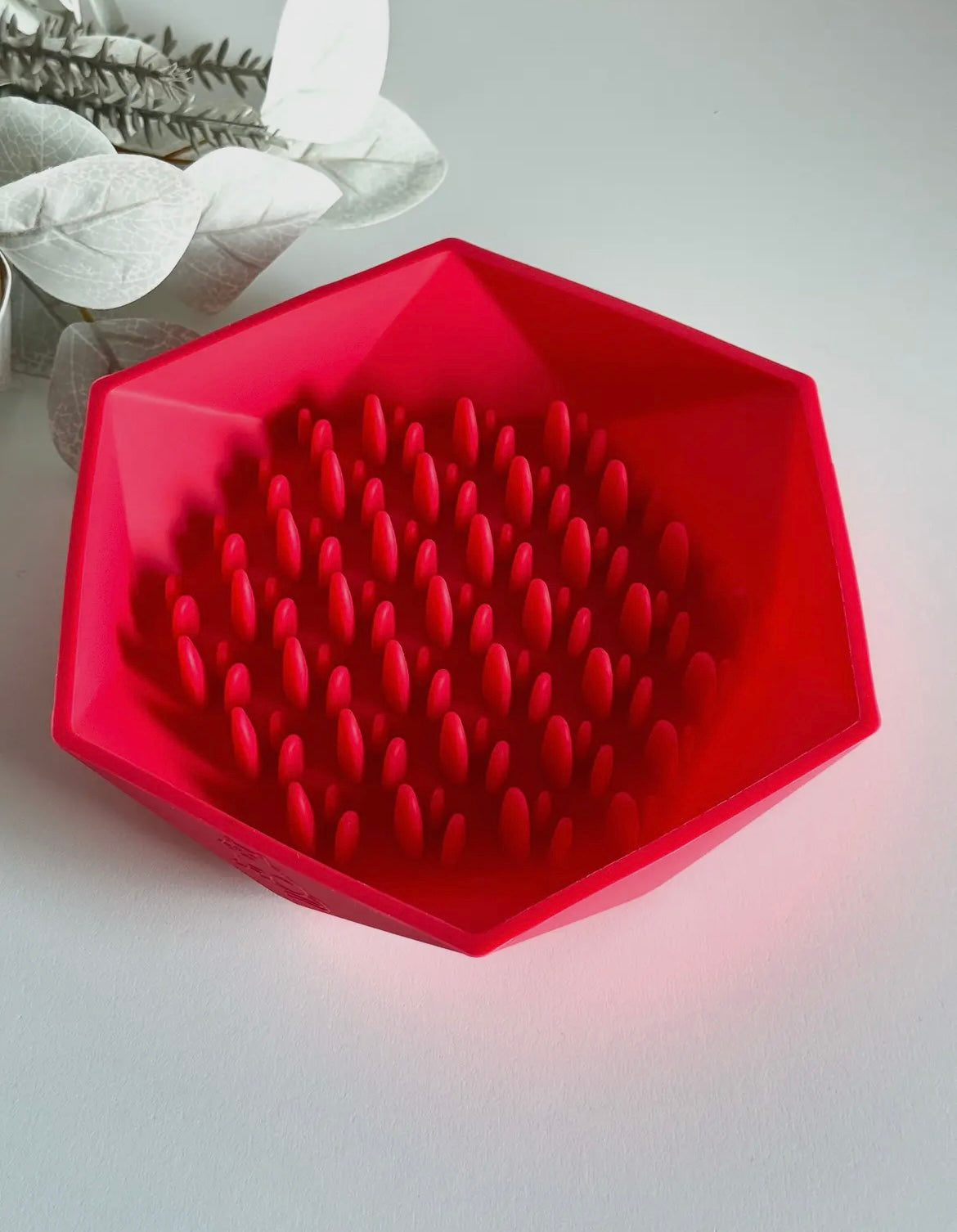 Gamelle anti glouton hexagonal