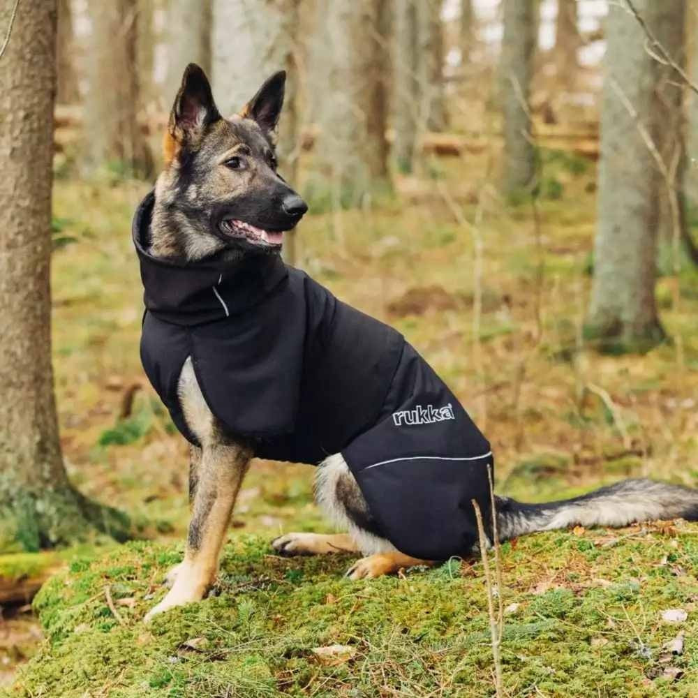 Veste thermique Windy noir 50cm