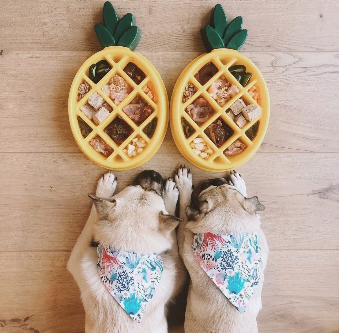 Gamelle anti Glouton ananas