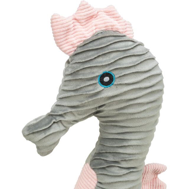 Hippocampe