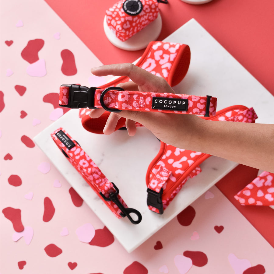 Cocopup Léopard rouge et rose