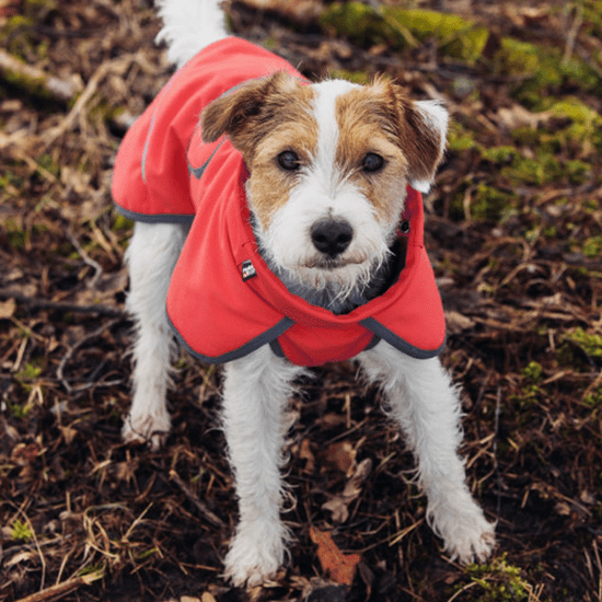 Veste thermique Windy rose corail 55cm