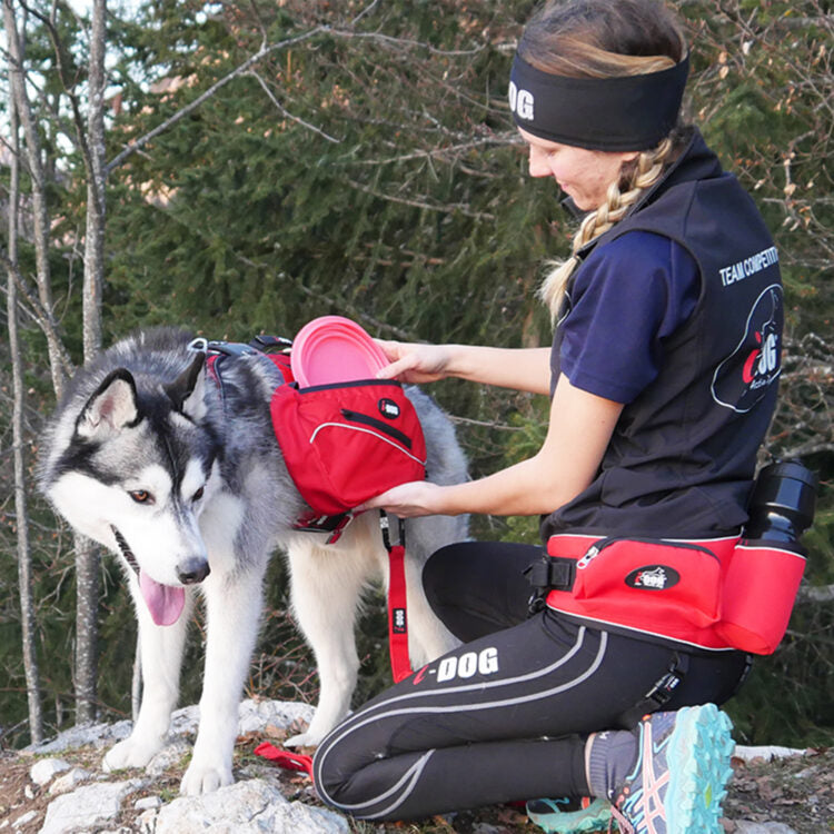 Sacoche confort trek idog