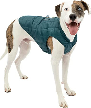 Manteau Loft Kurgo réversible - HAPPY ZOO SHOP