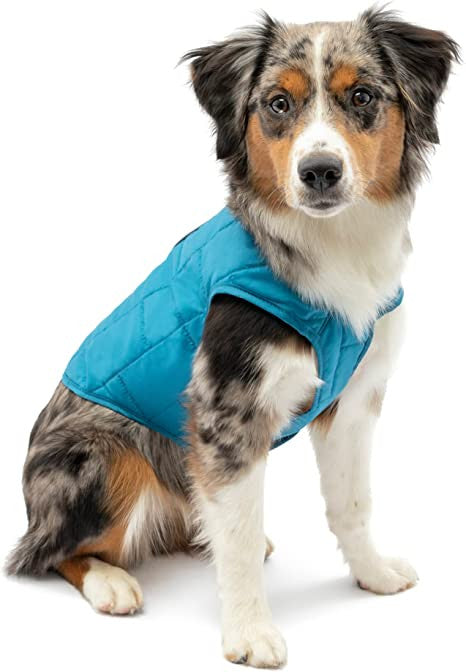 Manteau Loft Kurgo réversible - HAPPY ZOO SHOP
