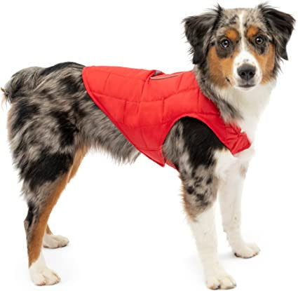 Manteau Loft Kurgo réversible - HAPPY ZOO SHOP