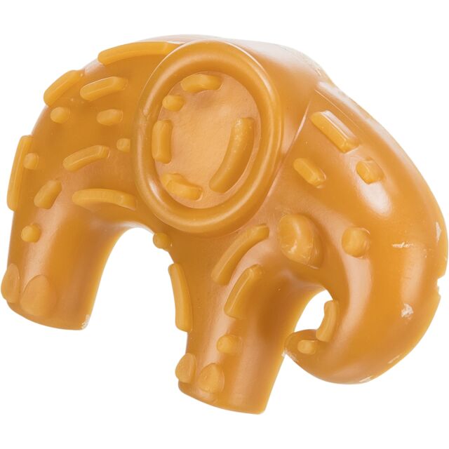 Vegan safari
