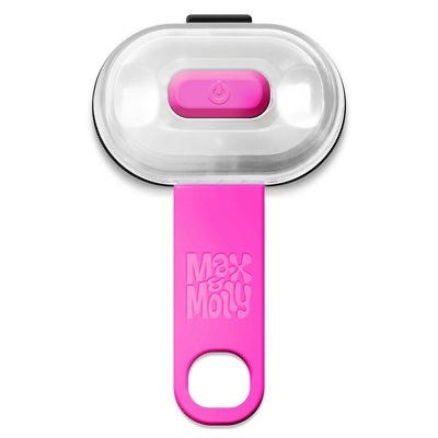 Matrice led Max et Molly