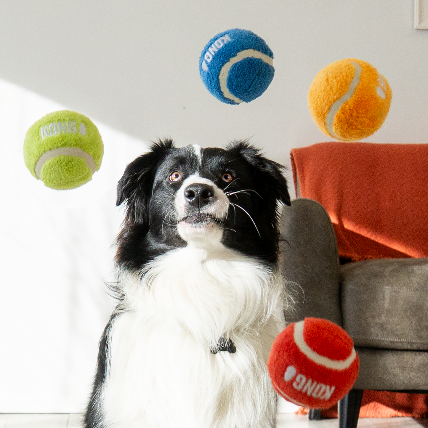 Balles Kong