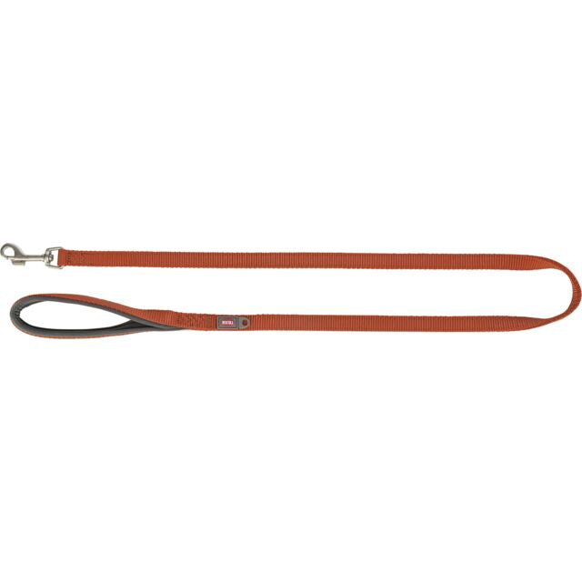 Laisse premium pastel