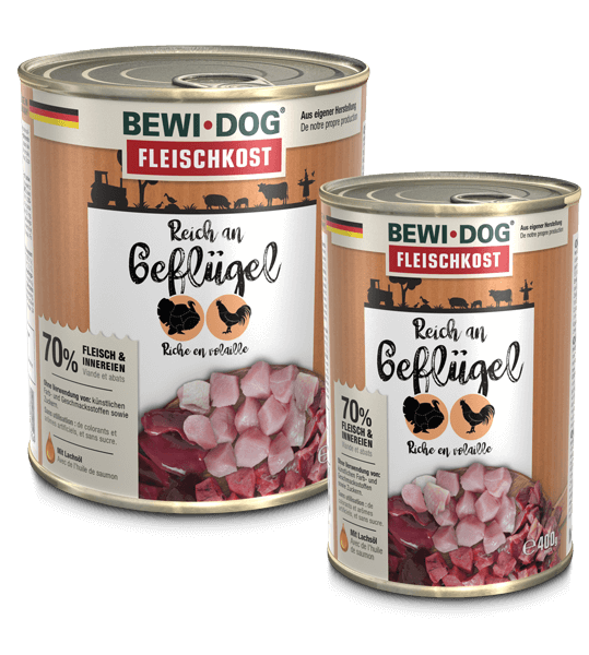 BEWI DOG