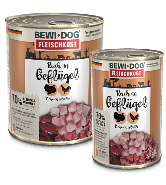 BEWI DOG