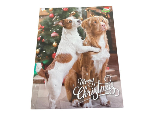 Calendrier de l’avent XXL Chien