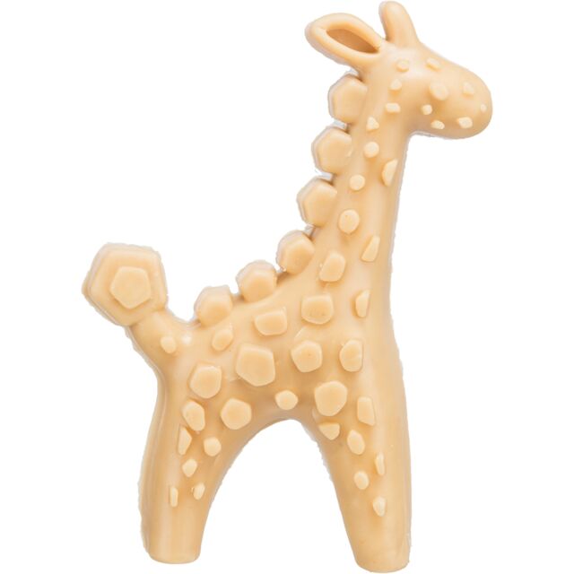 Vegan safari