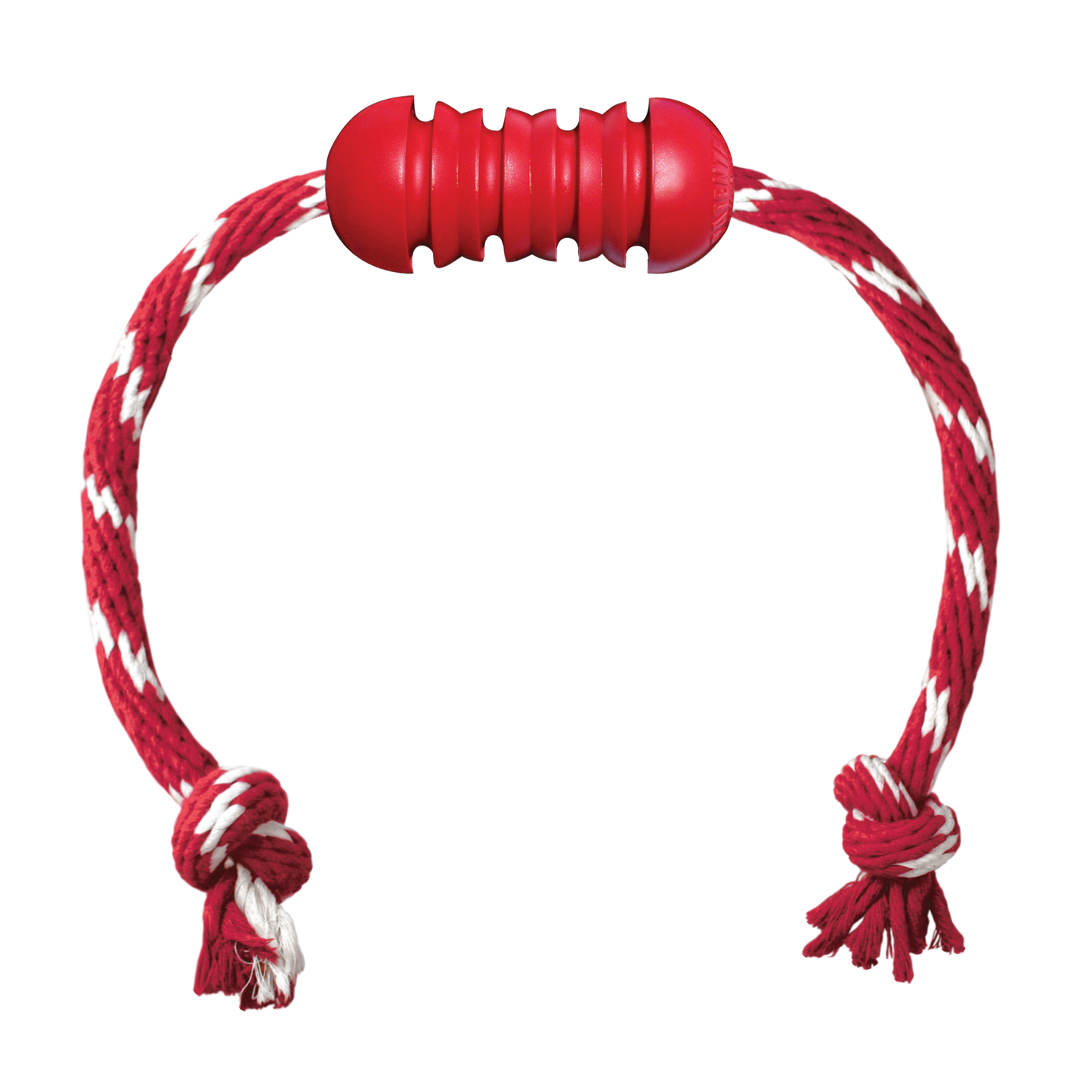 Kong dental s