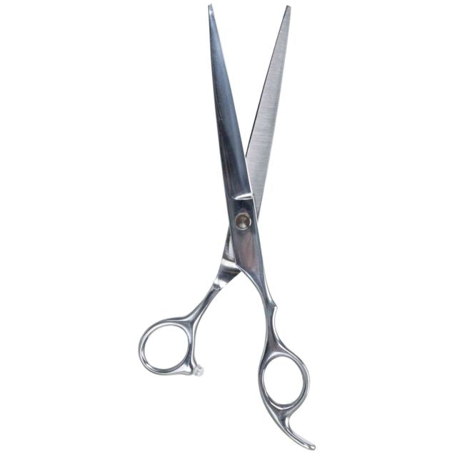 Ciseaux professionnel