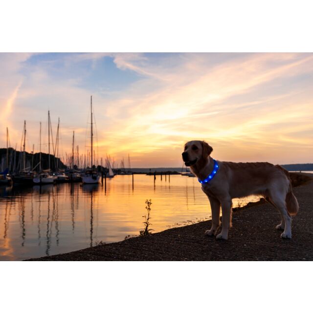 Flash blande lumineuse UBS 70cm / 30mm bleu