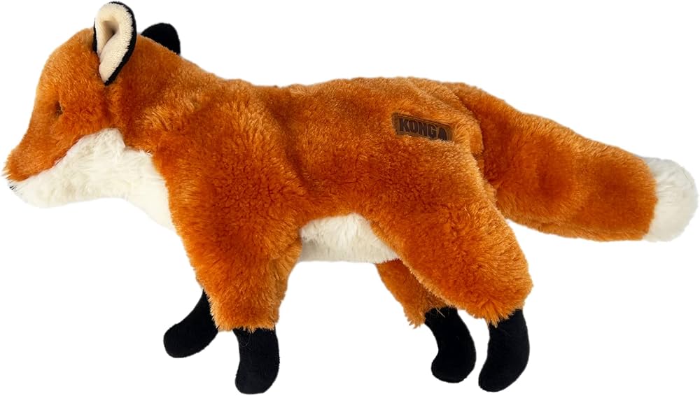 Kong wild renard
