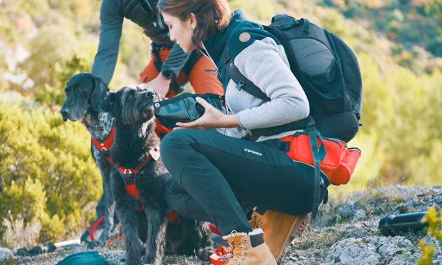 Baudrier confort trek - HAPPY ZOO SHOP