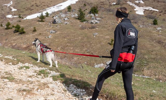 Baudrier confort trek - HAPPY ZOO SHOP